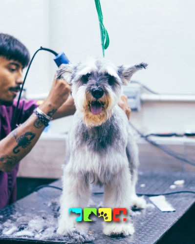 Carousel post from medicalpettj.