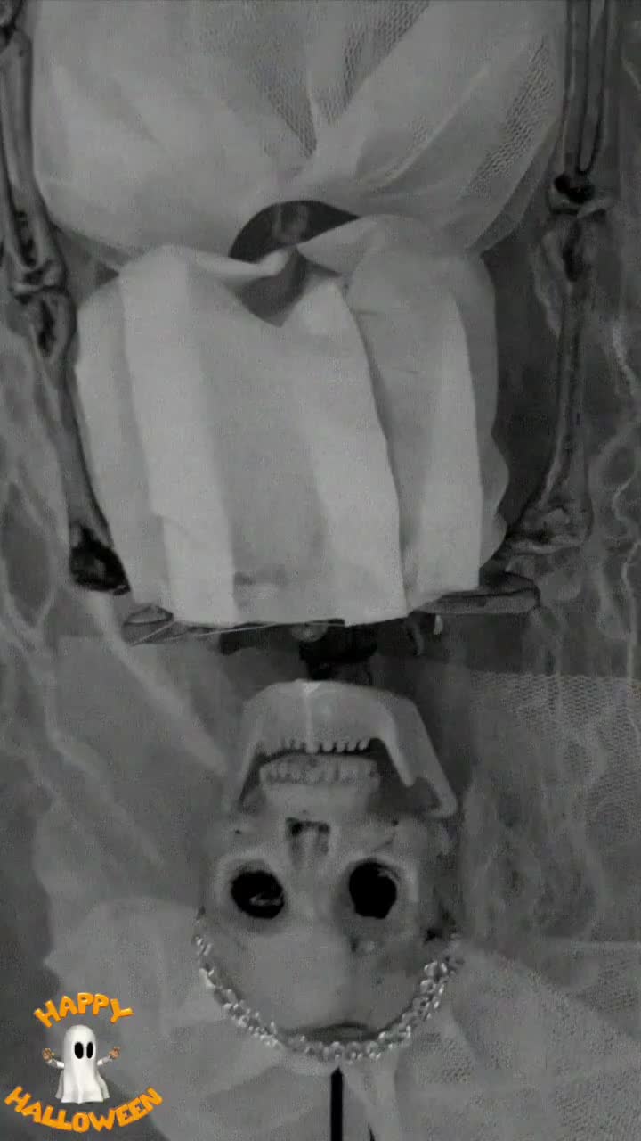 Video post from brasfestas.