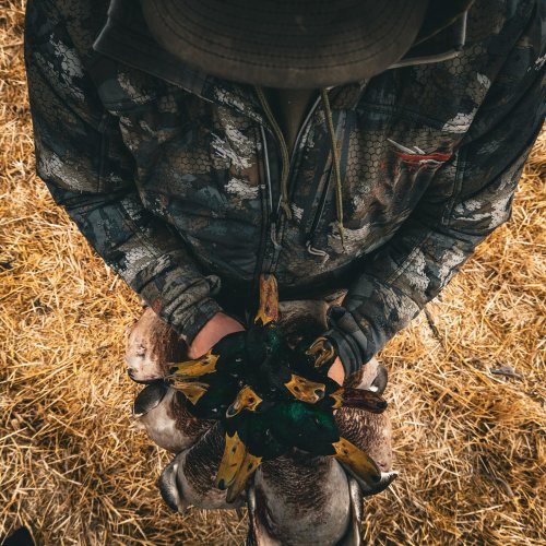 Photo post from northernskiesoutfitters.