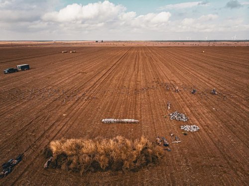 Photo post from northernskiesoutfitters.