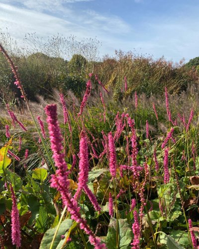 Photo post from sussexprairies.