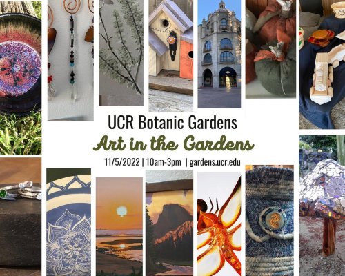 Photo post from ucrbotanicgardens.