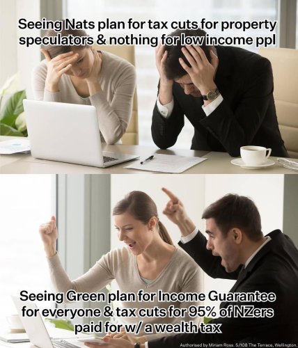 Carousel post from nzgreenparty.