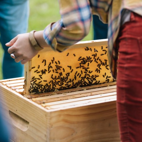 Carousel post from comvita_nz.