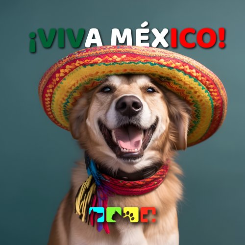 Photo post from medicalpettj.