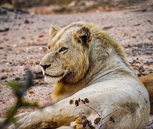 Photo post from taucktravel.