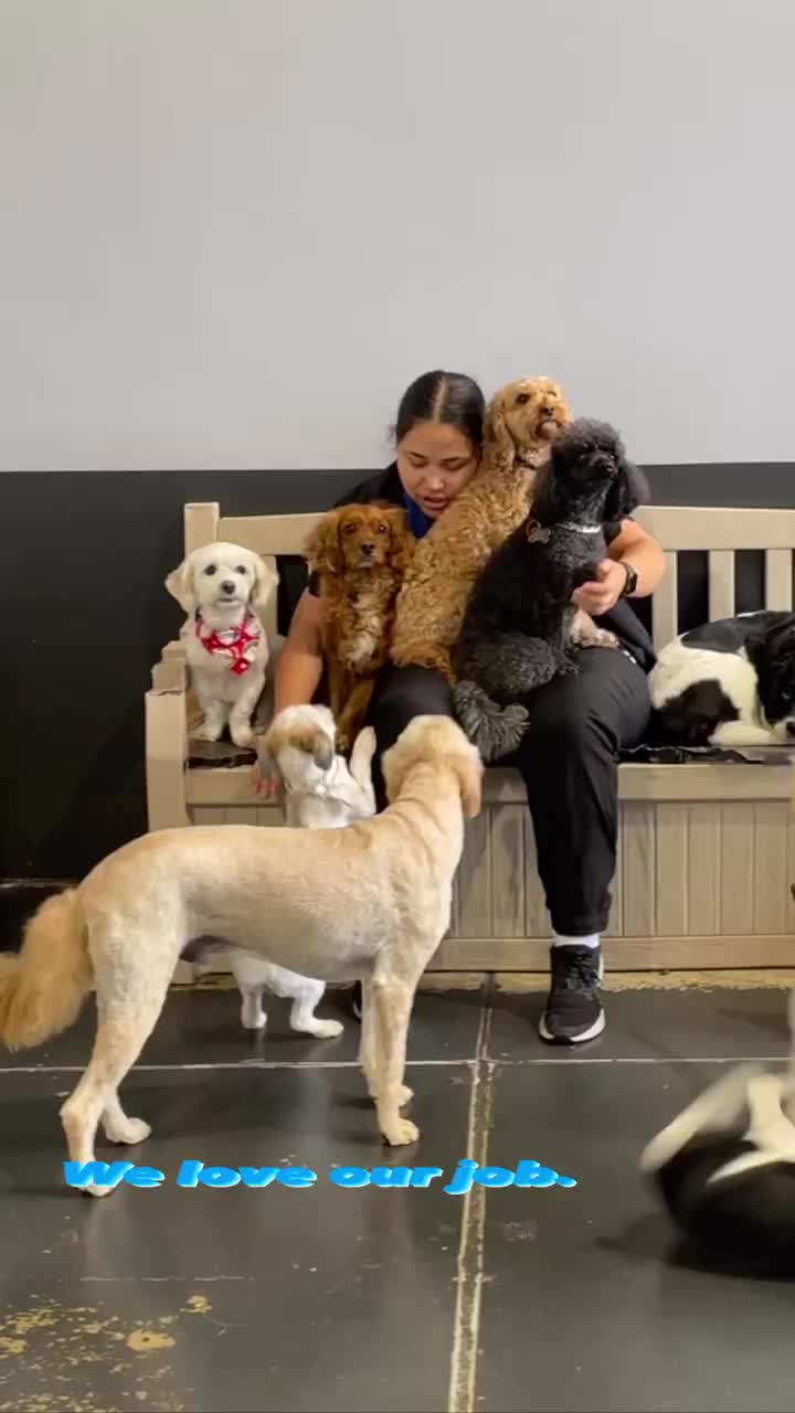 Video post from k9playtimedoggydaycare.