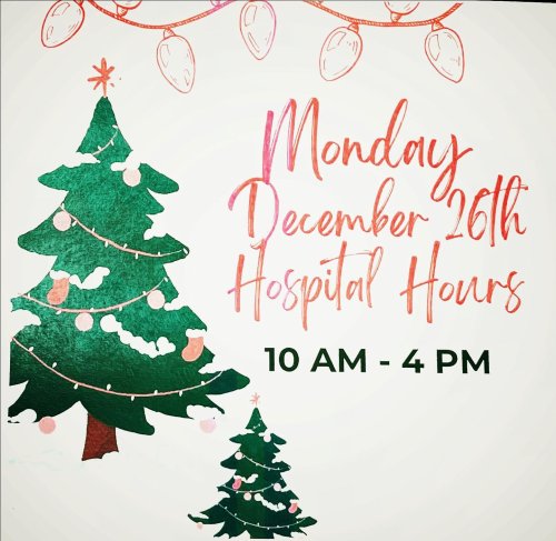 Photo post from familyanimalhospitalcm.