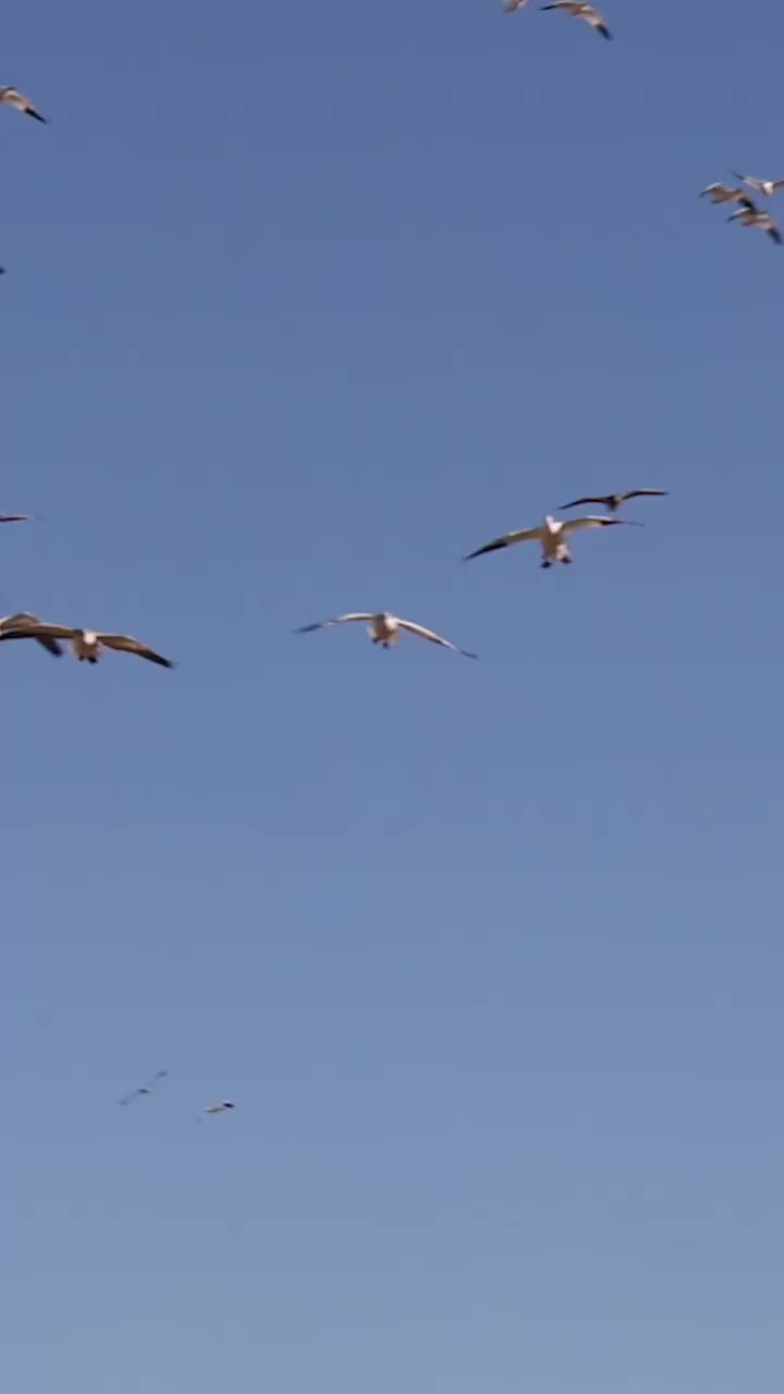 Video post from northernskiesoutfitters.