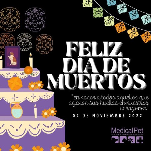 Photo post from medicalpettj.