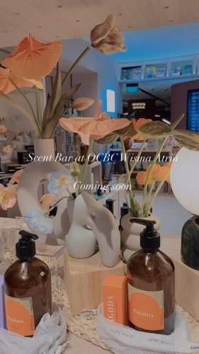 Video post from crane_living.