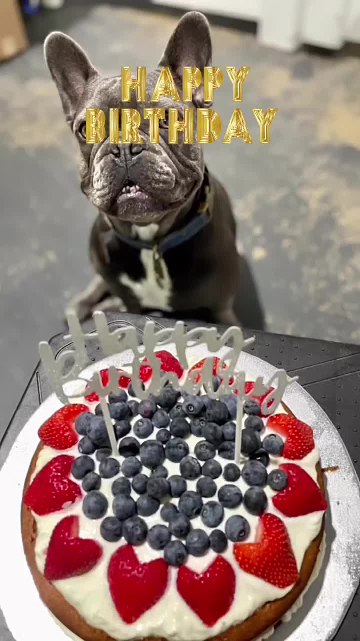 Video post from k9playtimedoggydaycare.