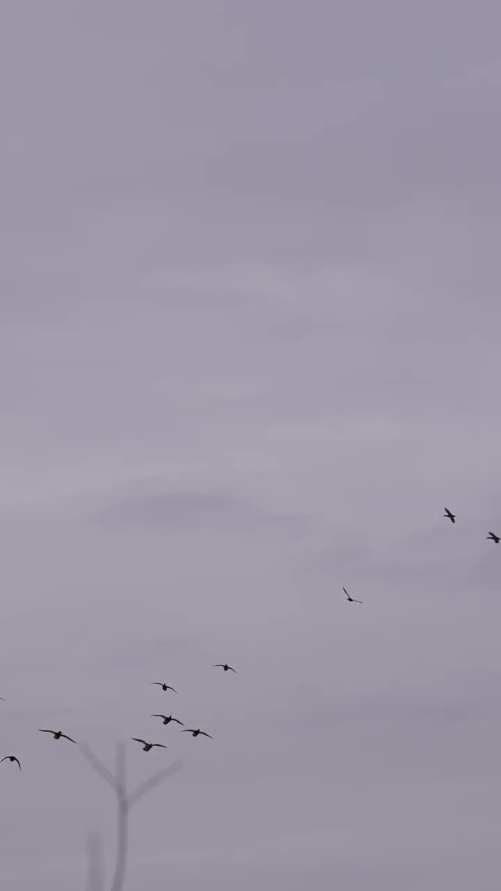 Video post from northernskiesoutfitters.