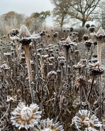 Photo post from sussexprairies.