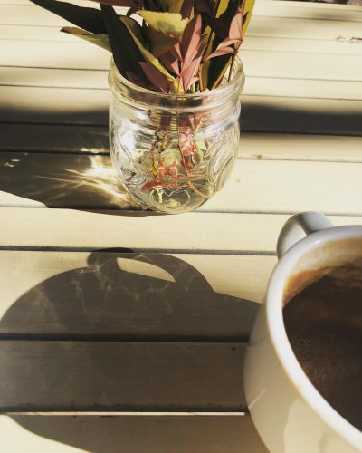 Photo post from equianocoffee.