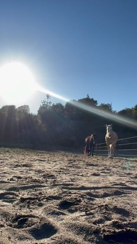 Video post from __amber_lydic__.