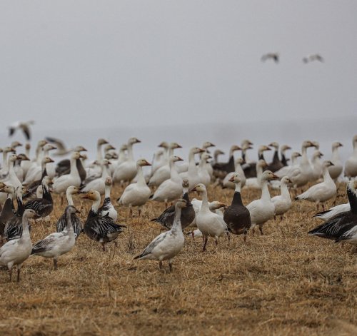 Photo post from northernskiesoutfitters.