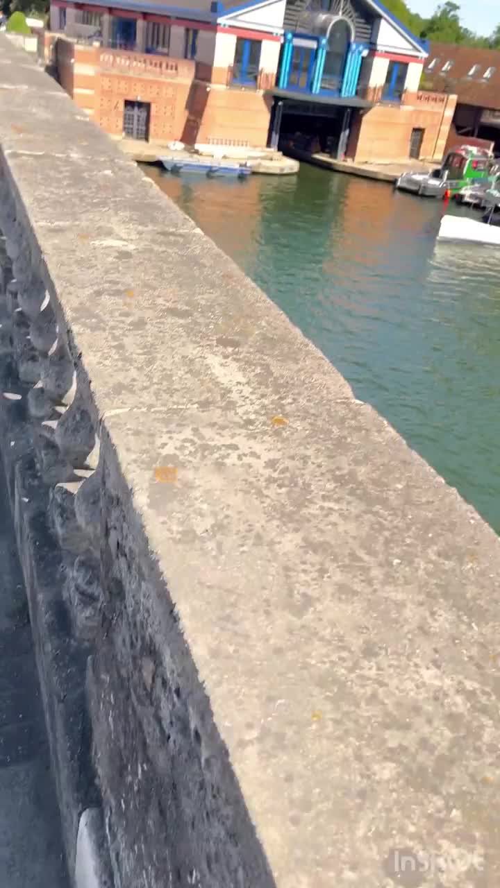 Video post from prg_uk.