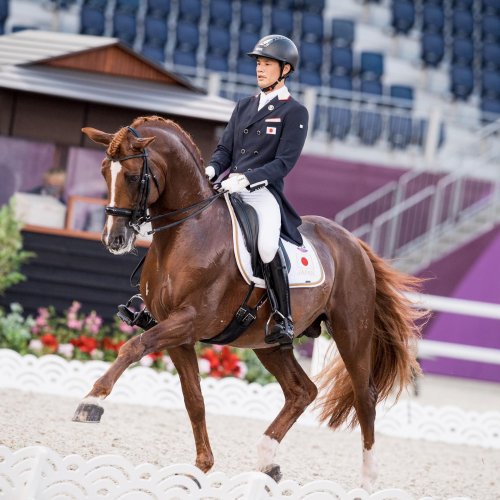 Carousel post from fei_global.