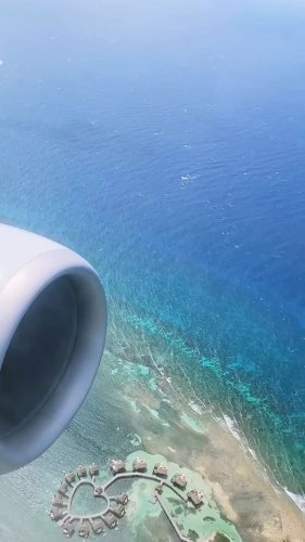 Video post from thingstodoinjamaica.