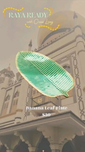 Video post from crane_living.