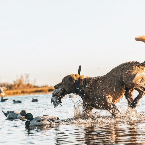 Photo post from northernskiesoutfitters.