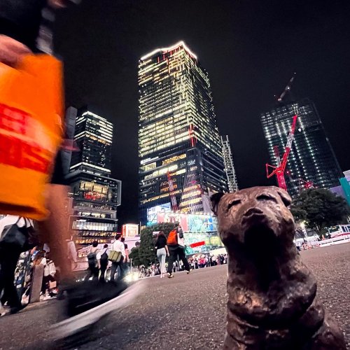 Carousel post from city_shibuya_official.