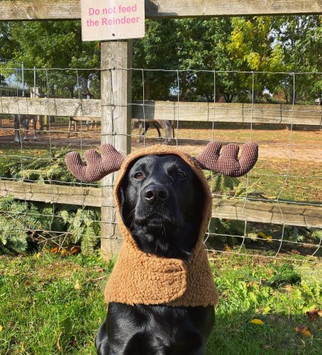 Photo post from toast_flyford.