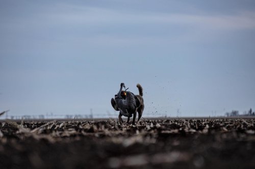 Photo post from northernskiesoutfitters.