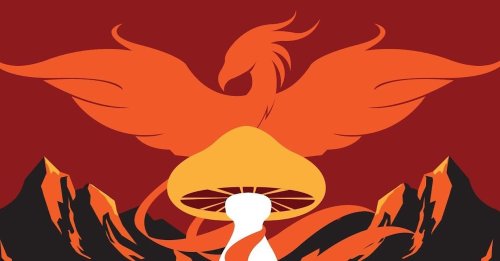 Photo post from farmbox_arizona.