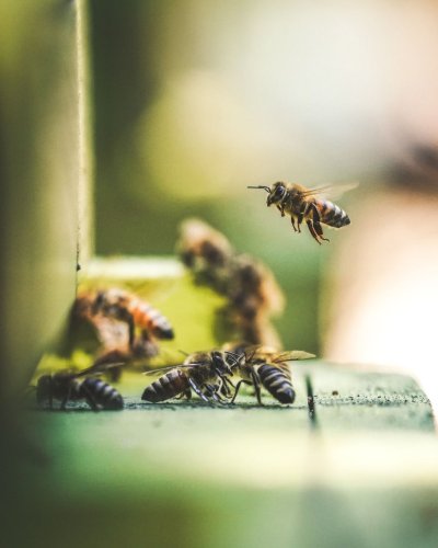 Photo post from comvita_nz.