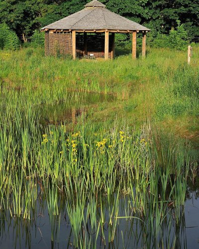 Carousel post from woodmeadowtrust.