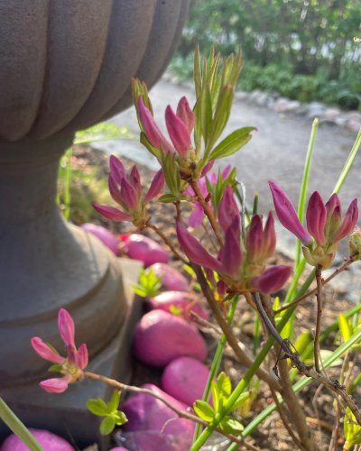 PostPhoto