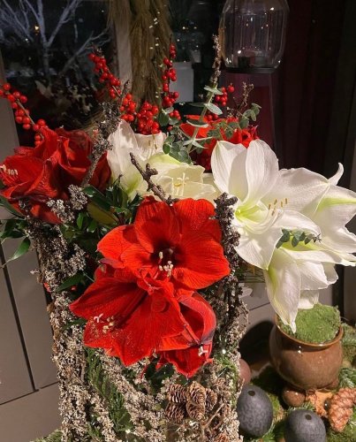 Photo post from blomsterborsen.