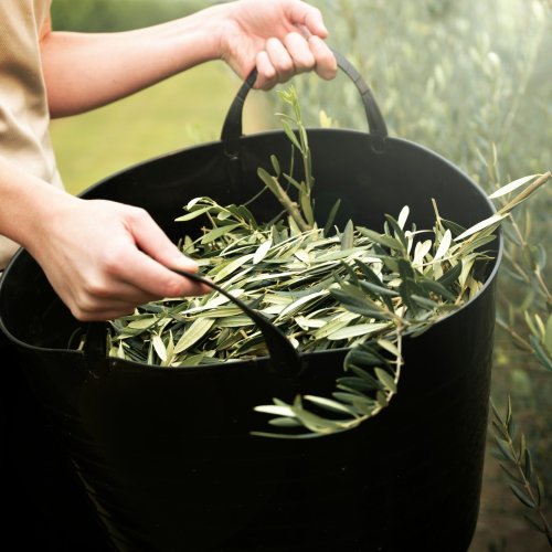 Photo post from comvita_nz.