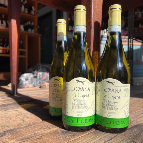 Photo post from dandywineshop.