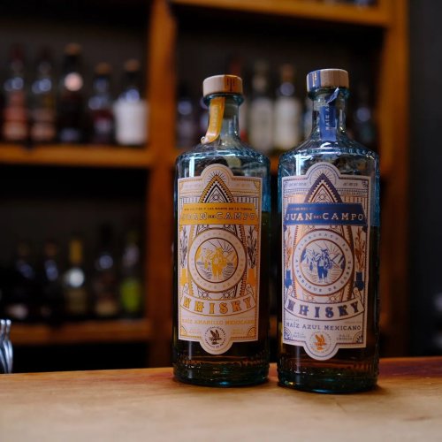Photo post from wonderhorsebar.