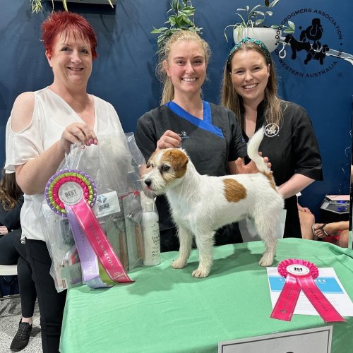 Carousel post from k9playtimedoggydaycare.