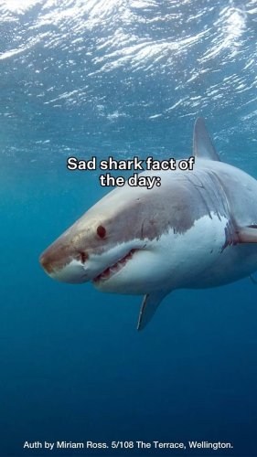 Video post from nzgreenparty.