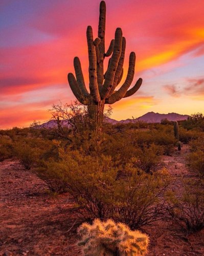 Photo post from visittucson.