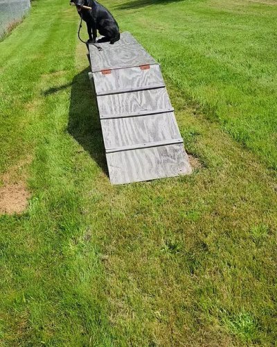 Video post from reddogguideservice.