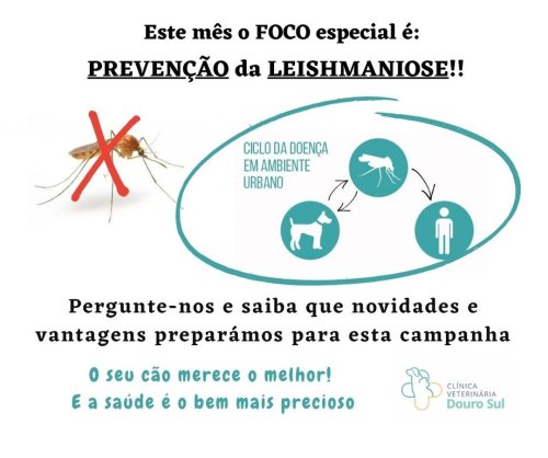 Photo post from clinica_veterinaria_dourosul.