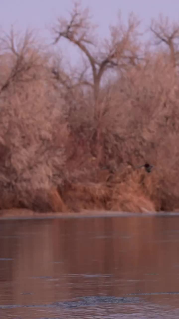 Video post from northernskiesoutfitters.