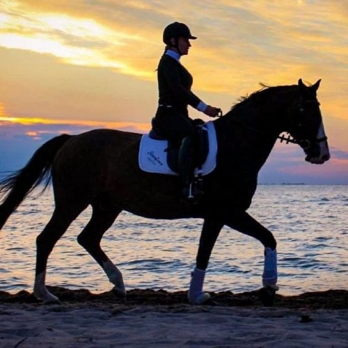 Carousel post from fei_global.