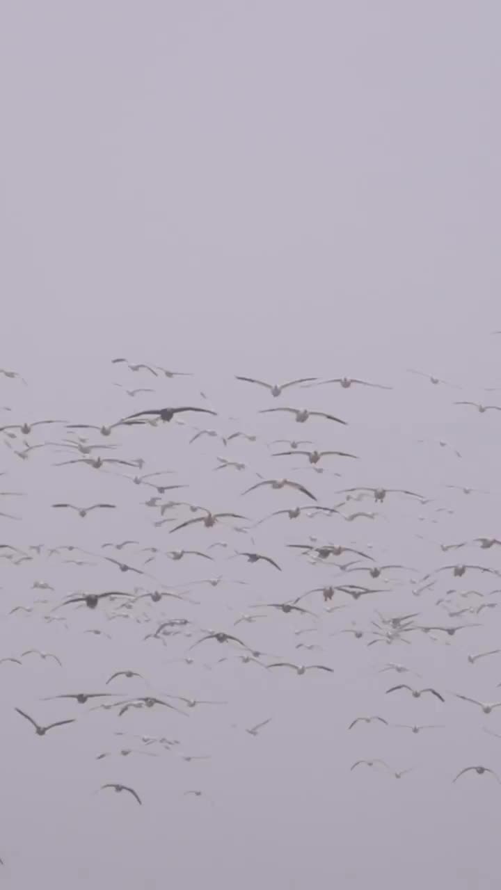 Video post from northernskiesoutfitters.