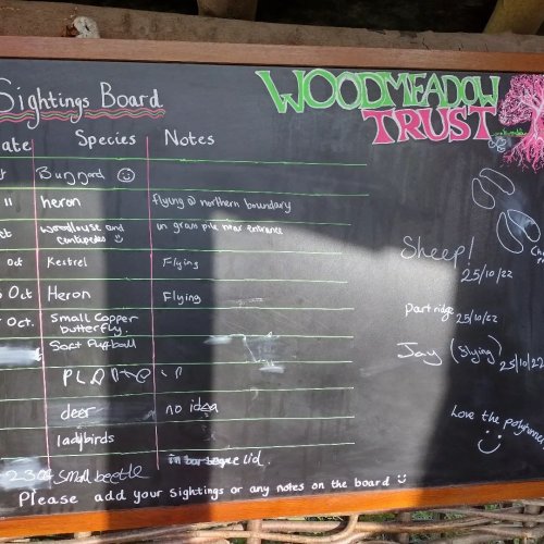 Photo post from woodmeadowtrust.