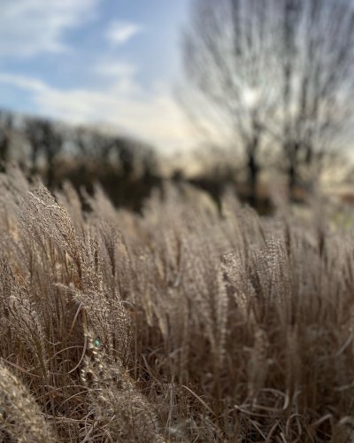 Photo post from sussexprairies.