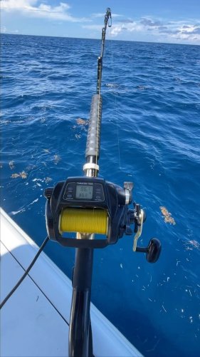 Video post from ejs_fishing_charters.