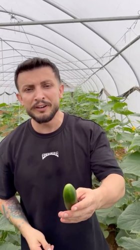 Video post from mehmetenliogluofficial.