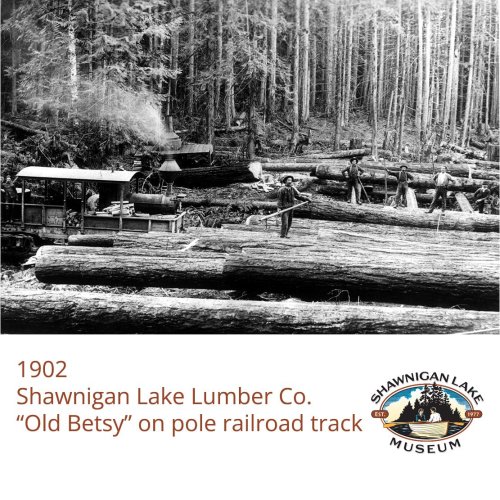 Photo post from shawniganlakemuseum.